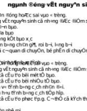 Bài giảng điện tử môn sinh học: nghành động vật nguyên sinh