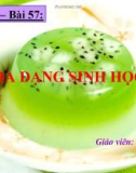 Bài giảng điện tử môn sinh học: đa dạng sinh học_2