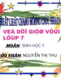 Bài giảng điện tử môn sinh học: loài châu chấu_3