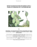 Báo cáo nghiên cứu khoa học REPORT ON INVESTIGATIONS INTO MANGO SUPPLY CHAINS IN THE MEKONG DELTA VIETNAM 2005-2007 