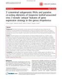 Báo cáo y học: 3′-coterminal subgenomic RNAs and putative cis-acting elements of Grapevine leafroll-associated virus 3 reveals ‘unique' features of gene expression strategy in the genus Ampelovirus