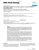 báo cáo khoa học: SNP high-throughput screening in grapevine using the 