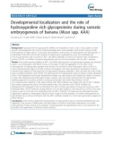 báo cáo khoa học: Developmental localization and the role of hydroxyproline rich glycoproteins during somatic embryogenesis of banana (Musa spp. AAA)