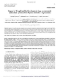 Báo cáo lâm nghiệp: Impact of drought and leaf development stage on enzymatic antioxidant system of two Populus deltoides × nigra clones