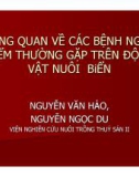 Bài giảng Bệnh thường gặp trên động vật nuôi biển - Nguyễn Văn Hảo, Nguyễn Ngọc Du