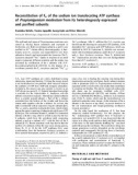 Báo cáo Y học: Reconstitution of Fo of the sodium ion translocating ATP synthase of Propionigenium modestum from its heterologously expressed and puriﬁed subunits