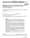 báo cáo hóa học: Heterogeneous activation of the TGFβ pathway in glioblastomas identified by gene expression-based classification using TGFβ-responsive genes