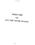 Võ học Bình Định chân truyền (Tập 3): Phần 2