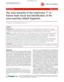 Báo cáo khoa học: The cross-reactivity of the enterovirus 71 to human brain tissue and identification of the cross-reactivity related fragments