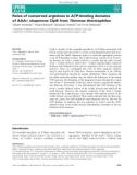 Báo cáo khoa học: Roles of conserved arginines in ATP-binding domains of AAA+ chaperone ClpB from Thermus thermophilus