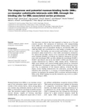 Báo cáo khoa học: The chaperone and potential mannan-binding lectin (MBL) co-receptor calreticulin interacts with MBL through the binding site for MBL-associated serine proteases