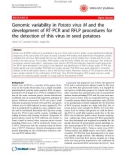 Báo cáo khoa học: Genomic variability in Potato virus M and the development of RT-PCR and RFLP procedures for the detection of this virus in seed potatoes