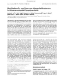 Báo cáo khoa học: Identiﬁcation of a novel inner-core oligosaccharide structure in Neisseria meningitidis lipopolysaccharide