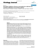 Báo cáo sinh học: Synergistic inhibition of human cytomegalovirus replication by interferon-alpha/beta and interferon-gamma