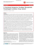 Báo cáo y học: A Functional Henipavirus Envelope Glycoprotein Pseudotyped Lentivirus Assay System