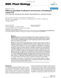 báo cáo khoa học: Different subcellular localizations and functions of Arabidopsis myosin VIII