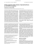 Báo cáo khoa học: Probing suggested catalytic domains of glycosyltransferases by site-directed mutagenesis Tobias Hefner and Joachim Stockigt ¨