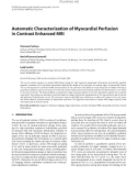 Báo cáo hóa học: Automatic Characterization of Myocardial Perfusion in Contrast Enhanced MRI