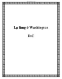 Lạ lùng ở Washington D.C