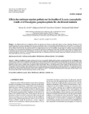 Báo cáo lâm nghiệp: Effets des embruns marins pollués sur les feuilles d'Acacia cyanophylla Lindl. et d'Eucalyptus gomphocephala Dc. du littoral tunisien