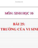 Bài giảng Sinh học 10 bài 25: Sinh trưởng của vi sinh vật