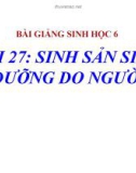 Bài giảng Sinh học 6 bài 27: Sinh sản sinh dưỡng do người