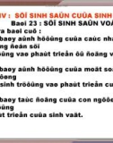 Bài giảng điện tử môn sinh học: sinh sản vô tính