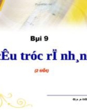 Bài giảng Điện tử Tin học lớp 11: Bài 9