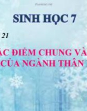 Bài giảng Sinh học 7 bài 21: Đặc điểm chung và vai trò của ngành thân mềm