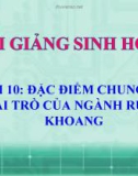 Bài giảng Sinh học 7 bài 10: Đặc điểm chung và vai trò của ngành ruột khoang