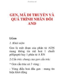 gen, mã di truyền và quá trình nhân đôi ADN