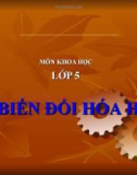 Slide bài Sự biến đổi hóa học - Khoa học 5 - GV.B.N.Kha