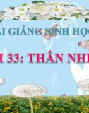 Bài giảng Sinh học 8 bài 33: Thân nhiệt