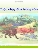 Giáo án điện tử môn Tiếng Việt lớp 3 - Tuần 28: Chính tả Cuộc chạy đua trong rừng