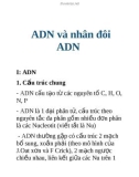 ADN và quá trình nhân đôi ADN