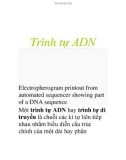 Trình tự ADN