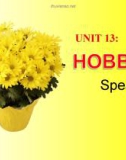 Bài giảng Tiếng Anh 11 - Unit 13: Hobbies (Speaking)