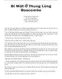 Bí Mật Ở Thung Lũng Boscombe