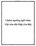 Chiêm ngưỡng ngôi chùa Việt trên đất Phật (Ấn Độ)