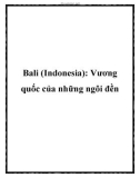 Bali (Indonesia): Vương quốc của những ngôi đền