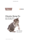 Ubuntu_Kung_Fu