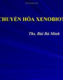 Bài giảng Chuyển hóa xenobiotic - ThS. Bùi Bá Minh