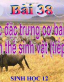 Bài giảng Sinh lớp 12 - Các đặc trưng cơ bản của quần thể sinh vật (TT)