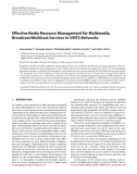 Báo cáo hóa học: Effective Radio Resource Management for Multimedia Broadcast/Multicast Services in UMTS Networks