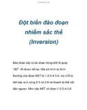 Đột biến đảo đoạn nhiễm sắc thể (Inversion)