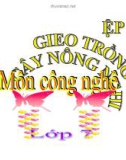 Bài giảng Công nghệ 7 bài 16: Gieo trồng cây nông nghiệp