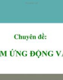 Bài giảng Sinh học lớp 11: Chuyên đề - Cảm ứng động vật