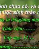 Bài giảng điện tử môn hóa học: amoniac và muối amoni