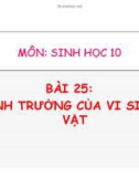 Bài giảng Sinh học 10 - Bài 25: Sinh trưởng vi sinh vật