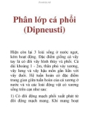 Phân lớp cá phổi (Dipneusti)